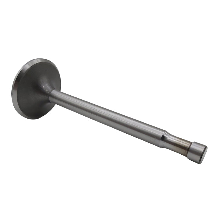 Valvola di aspirazione T80-T182