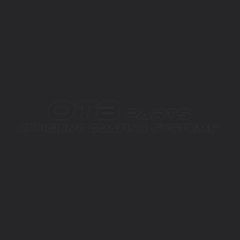 Lamborghini Motor Schwarz LM 9231 Farbton – Lackmuster OTB Efficient Coating Systems
