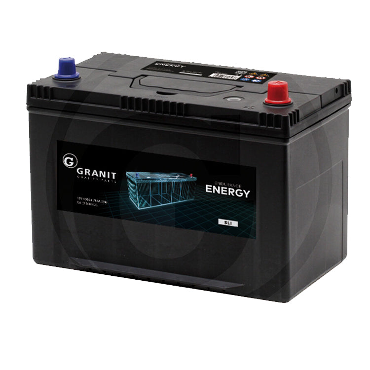 Endurance Energy Batterie 12 V  100 Ah  780A (EN)
