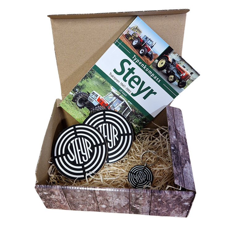 Weihnachtsgeschenkbox klein 3